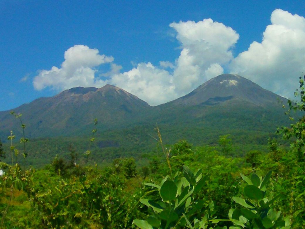 WhatsApp Image 2017-02-25 at 04.38.11