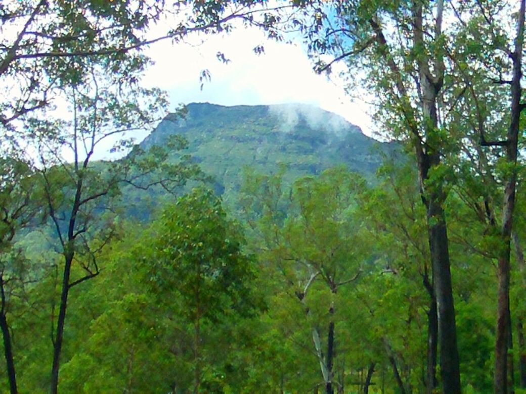 whatsapp-image-2017-02-25-at-05-20-08