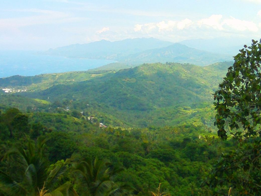 whatsapp-image-2017-02-25-at-05-44-44