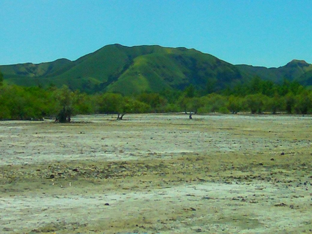 whatsapp-image-2017-02-25-at-12-12-02